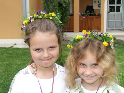 Врбица у Шимановцима