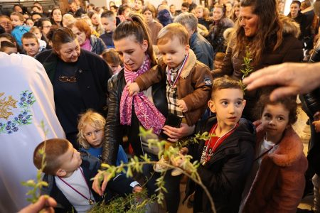 Врбица у Шимановцима - 2023. година
